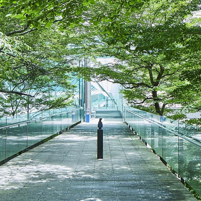 POLA美术馆（箱根）