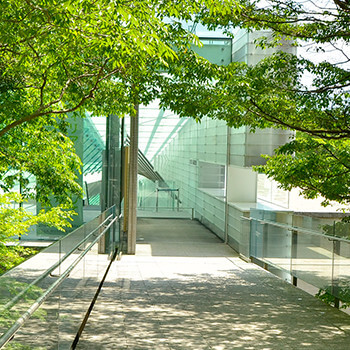 文化活动、文化支援活动