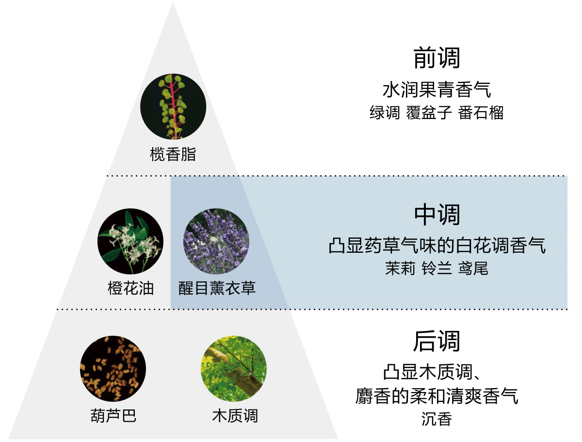 通过华丽而柔和的香气，将护理升华为呵护自己的美好时光