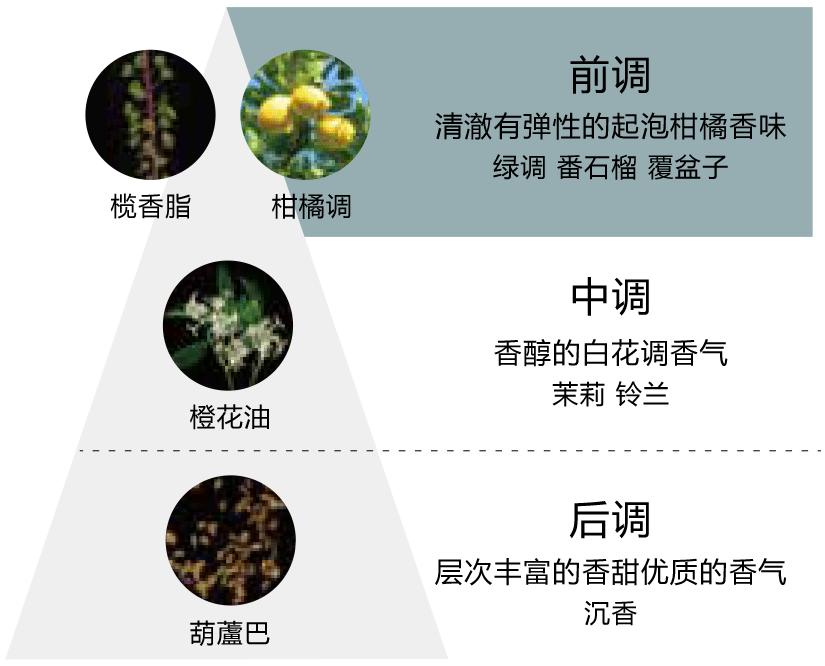 通过华丽的香气，将护理升华为呵护自己的美好时光