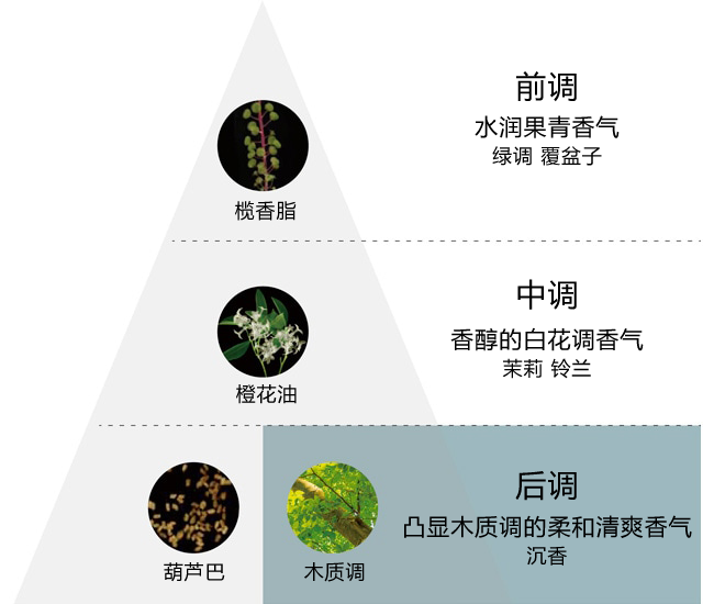 从高贵华丽的香气转变为澄澈心境的香气