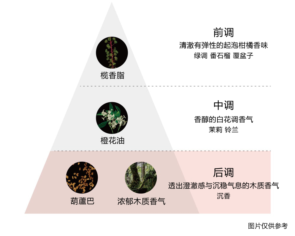 通过华丽而令人安心的的香气，将护理升华为呵护自己的美好时光