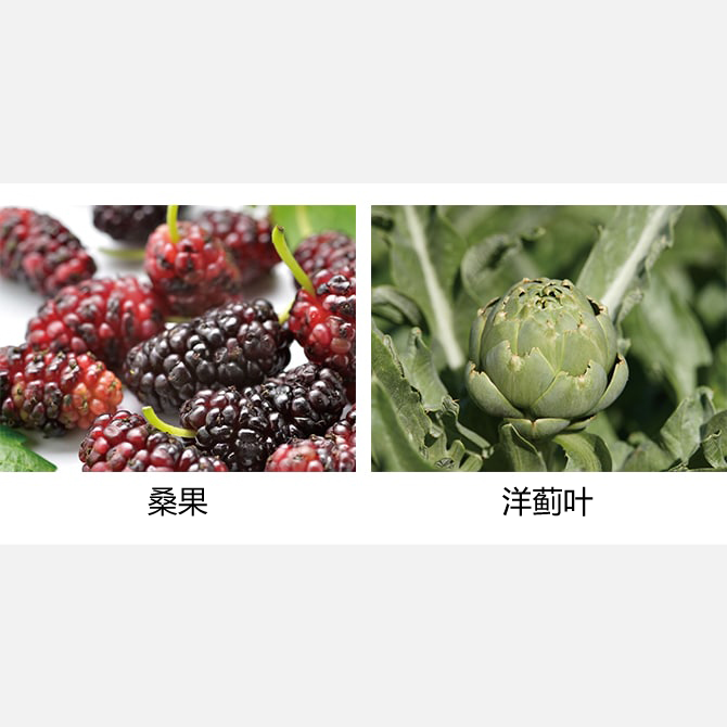 塑造富有生命力的眼部的成分