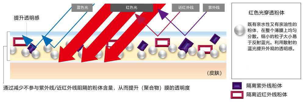 添加了“光紧致膜配方”，在紫外线照射下能提升薄膜的弹性。