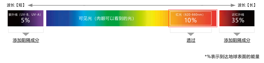 着眼于对皮肤有益的光—“红色光”