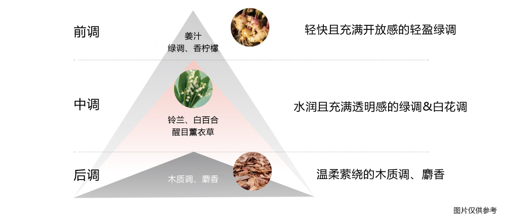 凸显富有清新感与开放感的轻盈绿调的香气