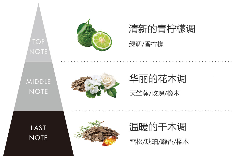 感性科学构想。在清新的青柠檬调中，加入了基础香料橡木调的香气。